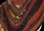 Polished Tiger Iron Stromatolite - ( Billion Years) #65326-1
